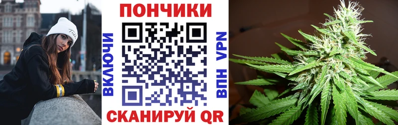 Конопля семена  как найти наркотики  Тарко-Сале 